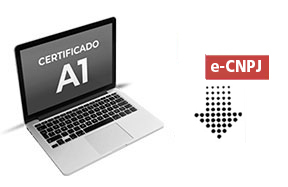 e-CNPJ A1